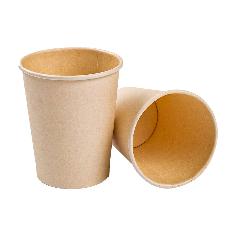 Innovative Sustainability: Exploring the Advantages of Double Wall Disposable Coffee Cups